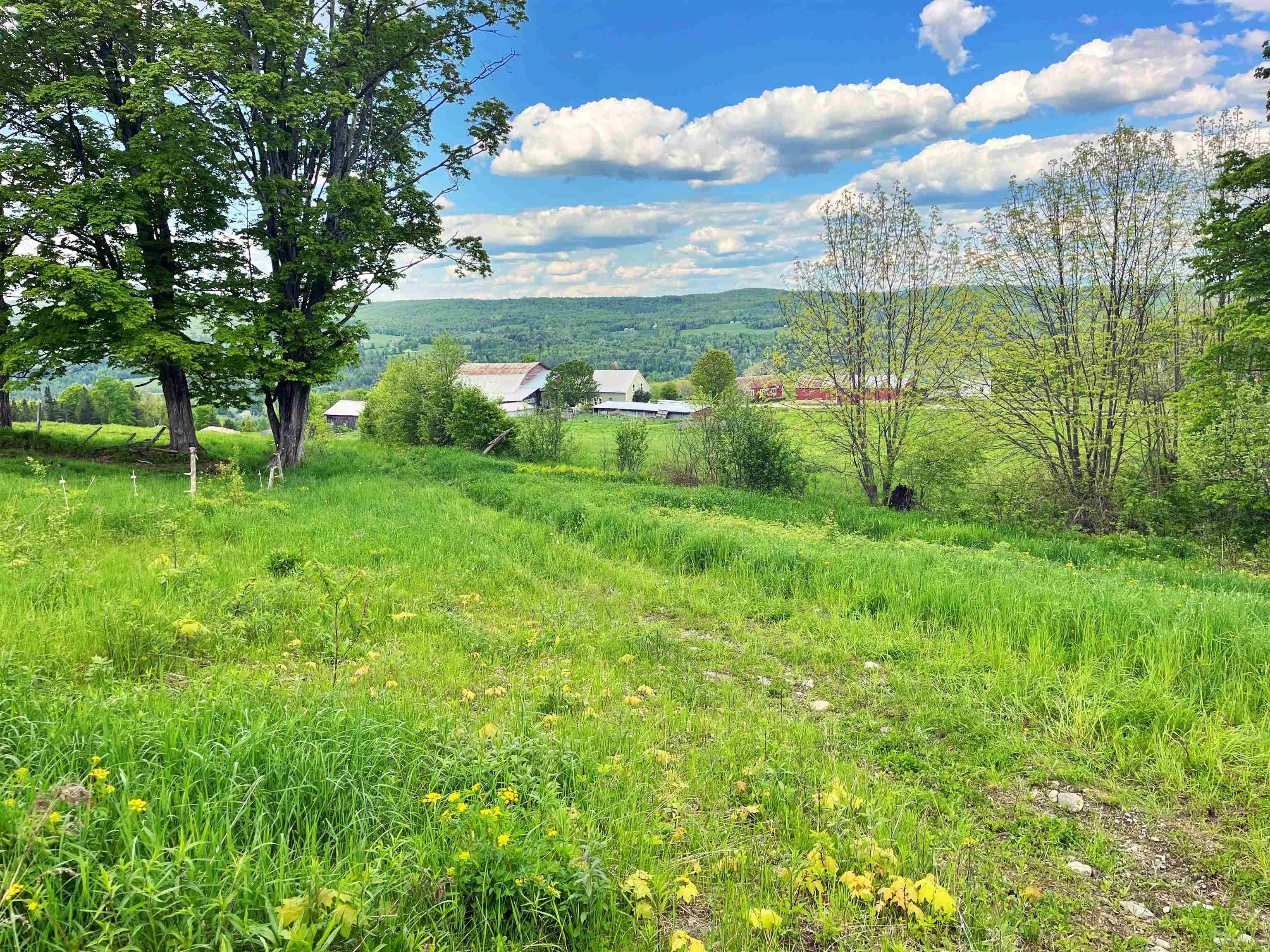 near 2863 Berry Hill Road Sheffield, VT 05866 Property 2